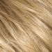 Champagne Root ( 20R/23+10)